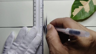 A gorgeous drawing using an ordinary pen