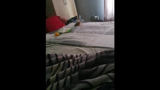 Step Mom wants to Lick and Fuck Step Son while Dad is in the same Room